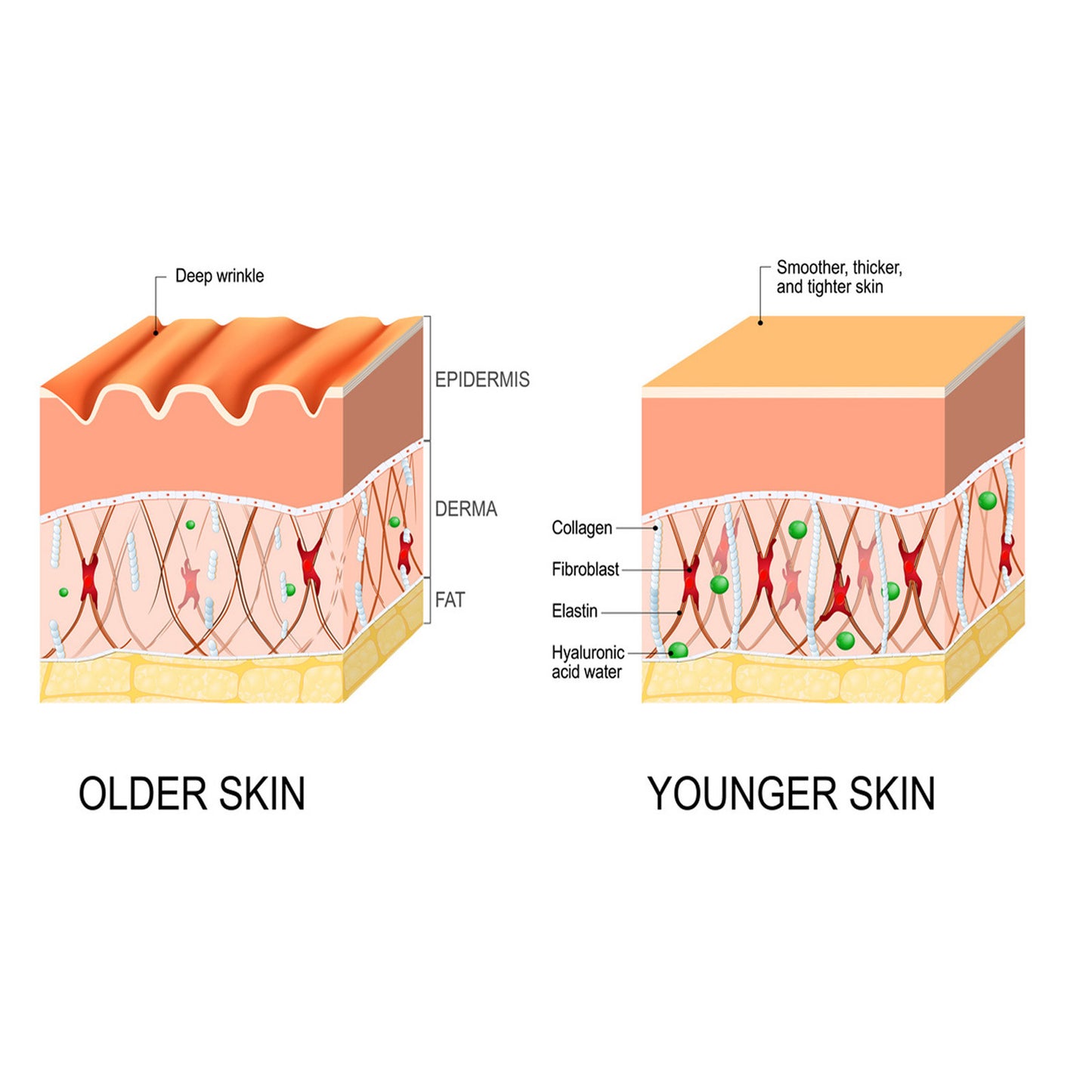 Anti-wrinkle  Fine Line-fading Lifting And Firming Skin Care